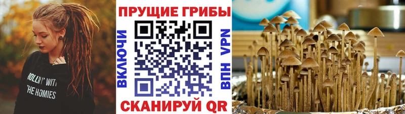 наркошоп  кракен ТОР  Псилоцибиновые грибы MAGIC MUSHROOMS  Белорецк 