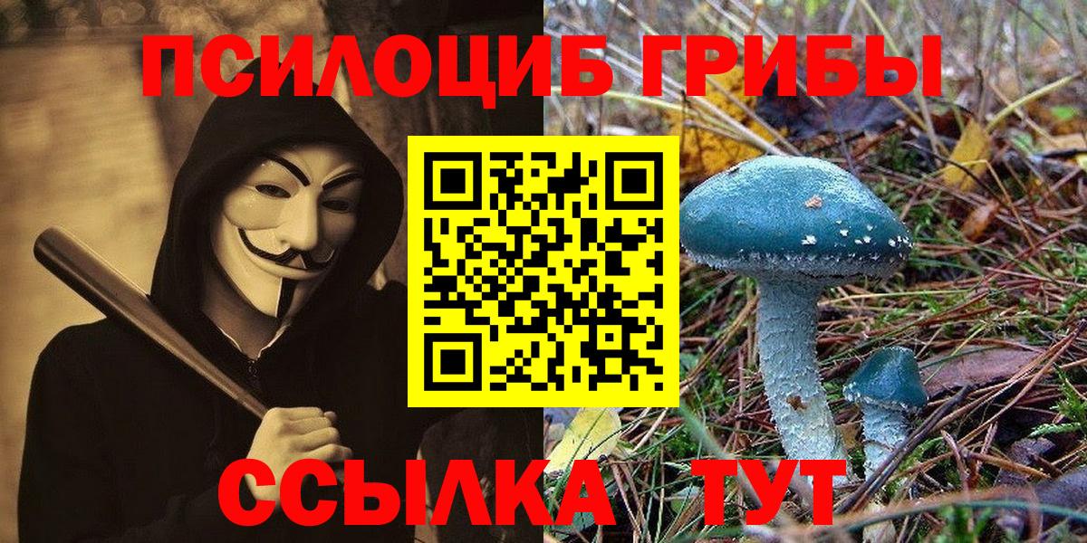 Белорецк  Галлюциногенные грибы Magic Shrooms  закладка  Вход с VPN  Псилоцибиновые грибы GOLDEN TEACHER 